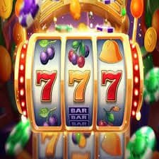 23vip11